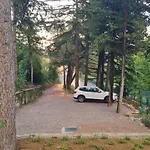 Fiesa * بورتوروز