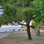 Fiesa *