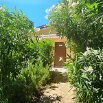 Fiesa بورتوروز