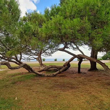 Fiesa Apartment Portoroz