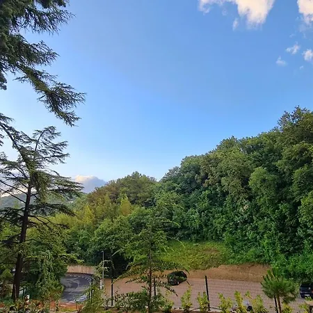 Apartament Fiesa *