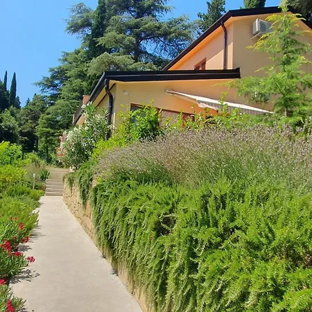 Fiesa بورتوروز