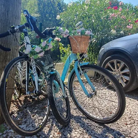 Appartamento Fiesa *