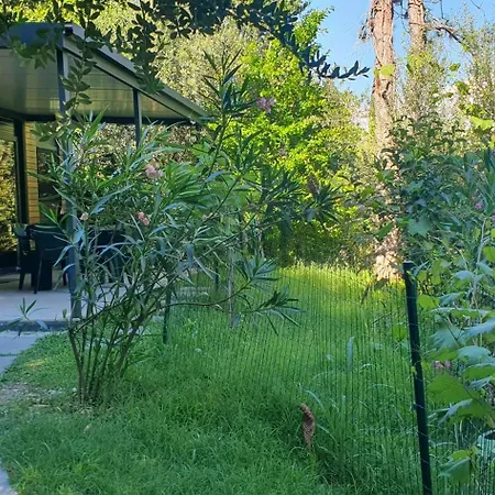 Apartment Fiesa *