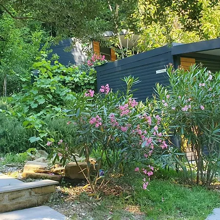 Fiesa Apartment