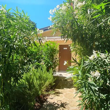 Fiesa بورتوروز