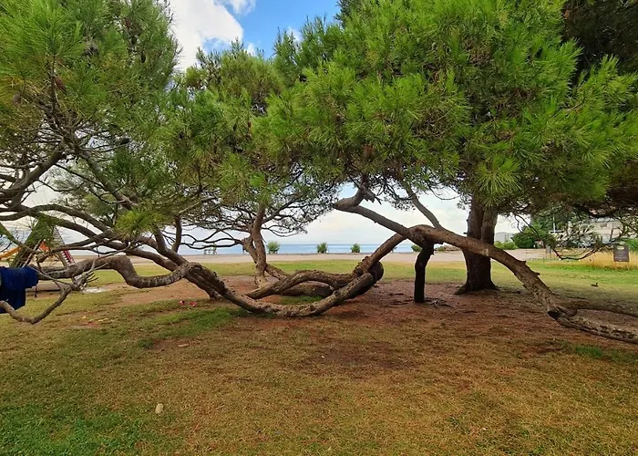 Fiesa Apartamento Portorož